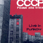 Live in Punkow