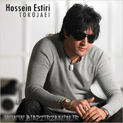 hossein estiri