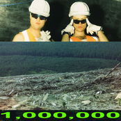 1 MILLION PINES