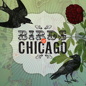 Birds of Chicago: Birds of Chicago