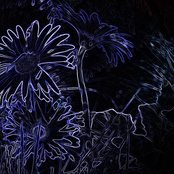 Surrealistic Blues EP