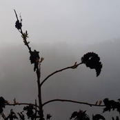 I've Been Nostalgic Since the Day I Was Born