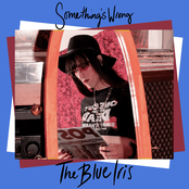 Something's Wrong - Single