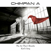 The Air That I Breathe