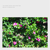 The Same Scene Once We Saw