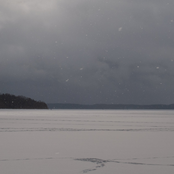 Spewing Shit Through Our Teeth