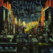 Lust Chance by Skinny Puppy