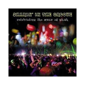 Sharin' In the Groove