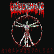 Undergang: Misantropologi