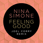 NINA SIMONE - FEELING GOOD (JOEL CORRY REMIX)