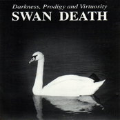 Farewell by Swan Death