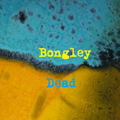 bongley dead