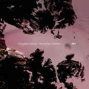 Amygdala Colours - Hemisphere Rotation