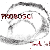Time To Feed by Probosci