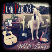 Junk Parlor: Wild Tones