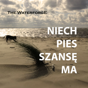 Niech Pies Szansę Ma