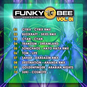 Funky Bee Vol. 01