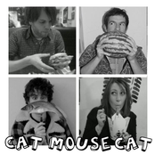 Cat Mouse Cat