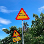 Vad ska vi göra nu?