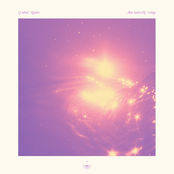 …like butterfly wings