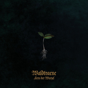 Fern der Wurzel (Neuaufnahme 2025)