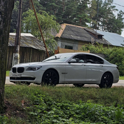 Бэха семерочка моя