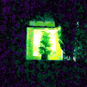 For a Second There I Was Almost Certain