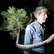 Thinking Like A Mountain