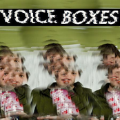Voice Boxes