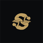 Nowa Kamasutra (New Kamasutra)