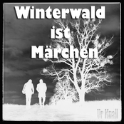 Winterwald Ist Märchen
