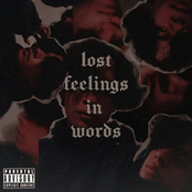 Lost Feelings In Words