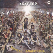 Krysy útočí by Kryptor