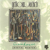 Brown Zone by Yellowjackets