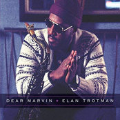 Elan Trotman: Dear Marvin