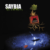 The Odds by Saybia