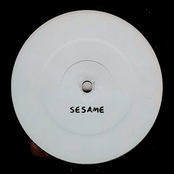 House of Adhesive Tape