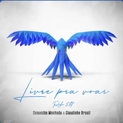 Livre Pra Voar (Radio Edit)