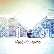 The Swimmers: Fighting Trees