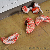 Scattered Brain