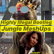 HIGHLY ILLEGAL BOOTLEG JUNGLE MASHUPS VOL 13