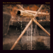 Genetic (Gamelan Salukat)