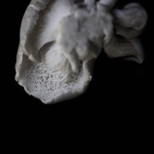 Meu Amor Doentio (Mad) [feat. Pornografairy]