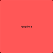 Hate or love it
