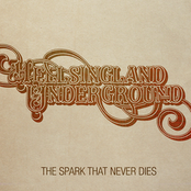 The Spark That Never Dies