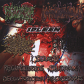 A Liquid Regurgitating Quinary Decomposition Procedure