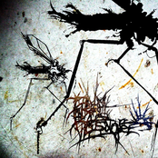 Shadows Beyond (Single)