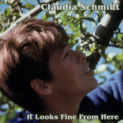 Claudia Schmidt: It Looks Fine from Here