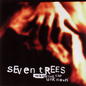 The Unknown by Seven Trees