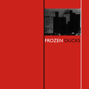 Frozen Ducks